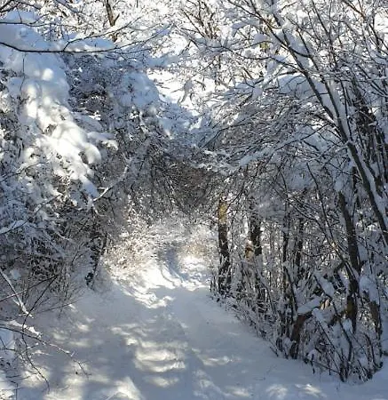 Διαμέρισμα Heidi *